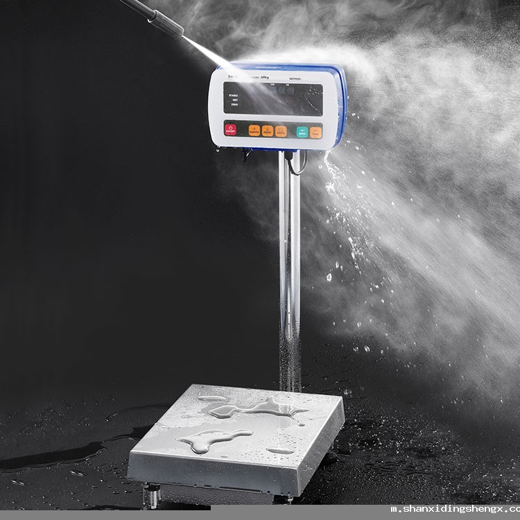日本进口防尘防水平台秤SW系列SW-60KM